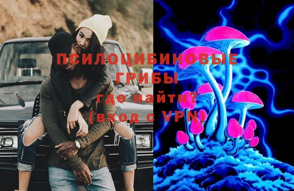 стаф Богданович