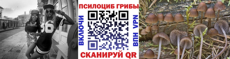 Галлюциногенные грибы Psilocybine cubensis  Наро-Фоминск 
